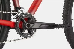 Cannondale Trail 5 Rally Red -Fahrradzubehör Geschäft MTBHardtailTrail5RallyRedBMOBikeMailorder 4