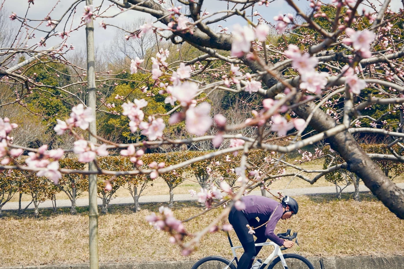 Cannondale SuperSix EVO Carbon Disc 105 Black Pearl 6 Cannondale SuperSix EVO Carbon Disc 105 Black Pearl – Bild 4